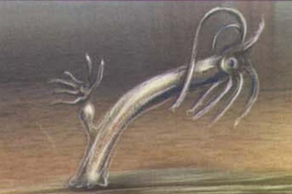 Kra23cc
