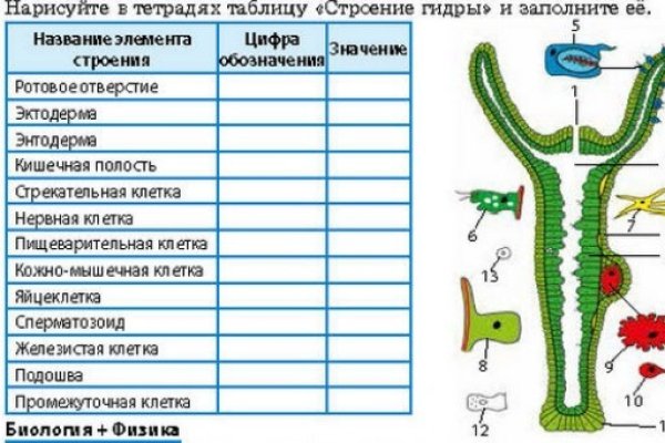 Кракен даркнет ссылка зеркало