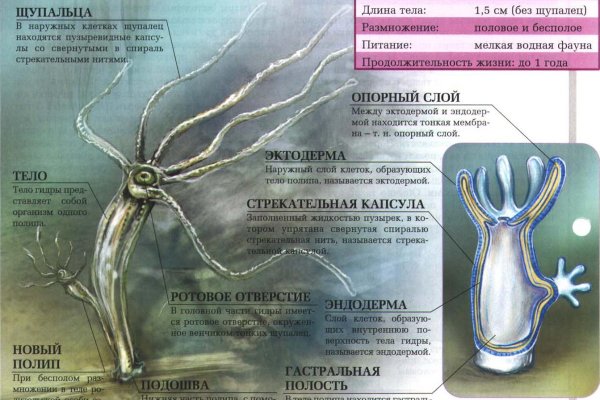 Kra20.at