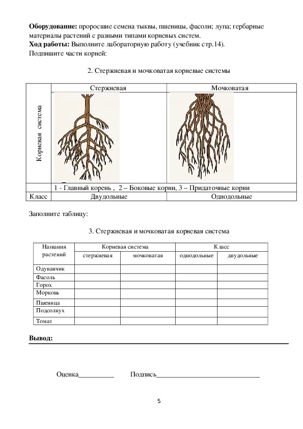 Kraken даркнет рынок